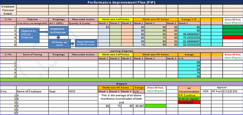 PIP Evaluation